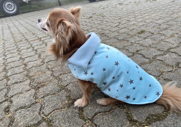 Chicco Hundemantel hellblau mit Sternen